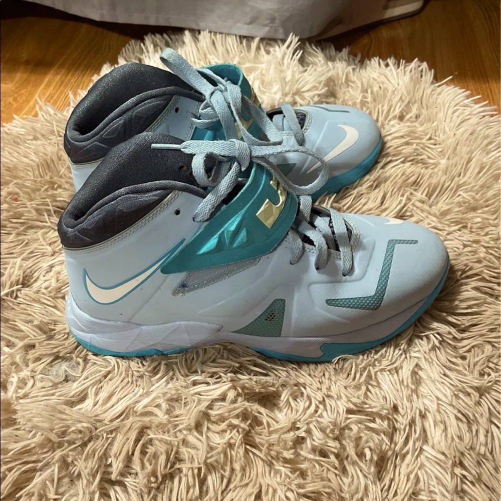 Nike lebron basketball shoes